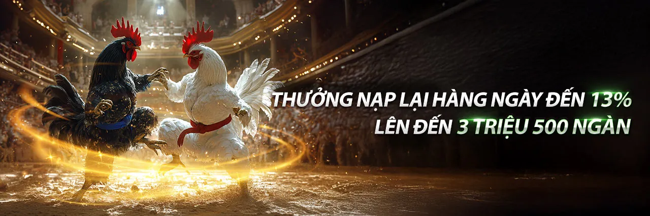Đá gà trực tuyến G888 với các chương trình khuyến mãi hấp dẫn